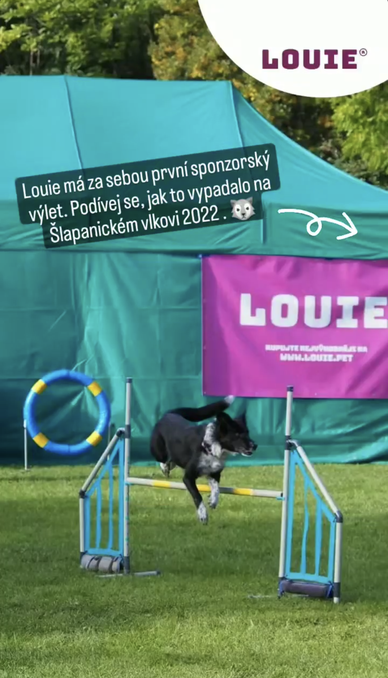 Naše značka LOUIE se stala hlavním partnerem Šlapanického vlka 2022