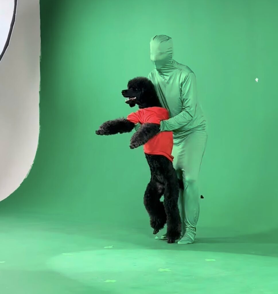 Natáčení reklam LOUIE je v plném proudu