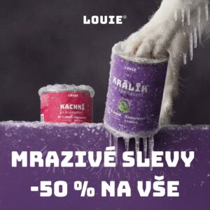 AI používáme i do statických reklam