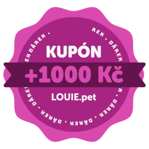 kupon_1000kc